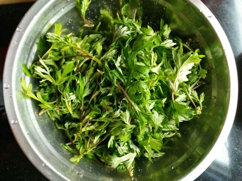 高清俯拍图:新鲜野生车前草全株(带根须与莲座状叶片)与干燥青花椒(竹叶椒品种)按3:1重量比并置在粗陶碗中,背景为竹制蒸笼与紫砂煎药壶,体现传统食养场景 车前草与花椒实物配比图