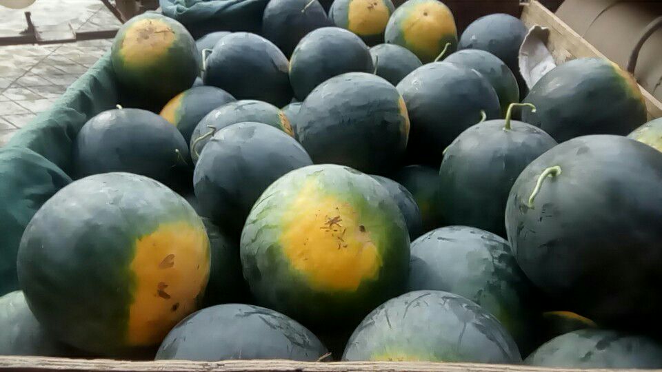 整颗带纹路的翠绿西瓜静置于木质案板上，表皮光滑有光泽，周围散落几片新鲜西瓜叶，背景为明亮厨房窗台