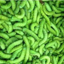 豆丹食用