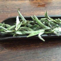 福鼎白茶特级