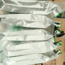 普洱茶一级