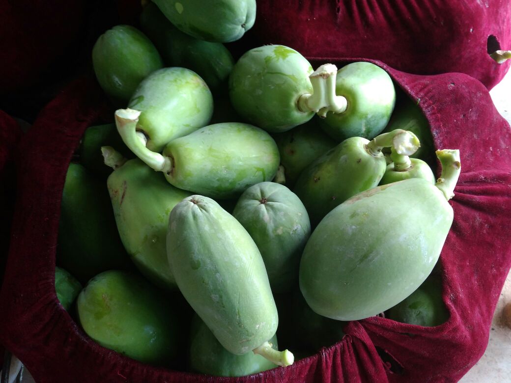 木瓜叶特写照片