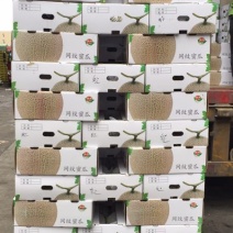 网纹瓜3斤以上椭圆形
