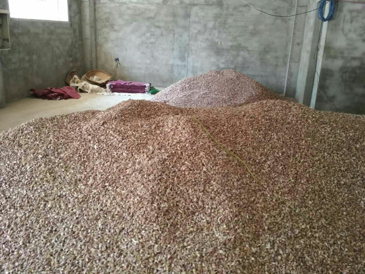 蒜皮堆放在仓库中