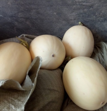 甜红玉甜瓜通货1斤以上