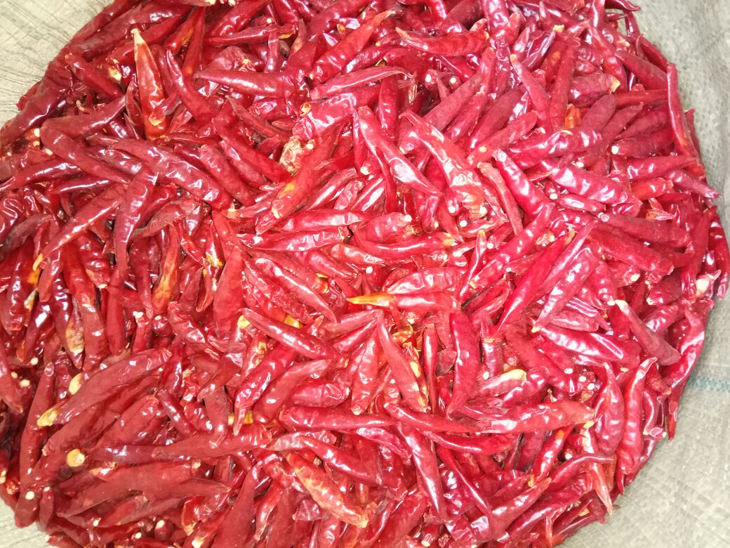 三樱椒特写镜头