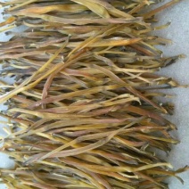干黄菜
