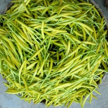 干黄菜