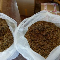 普洱绿茶一级