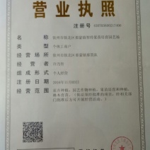 芒果树