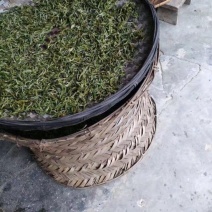 古树茶一级