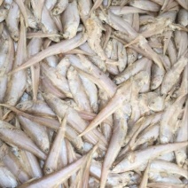 毛刀鱼食用冻鱼