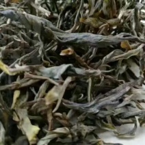 普洱茶一级