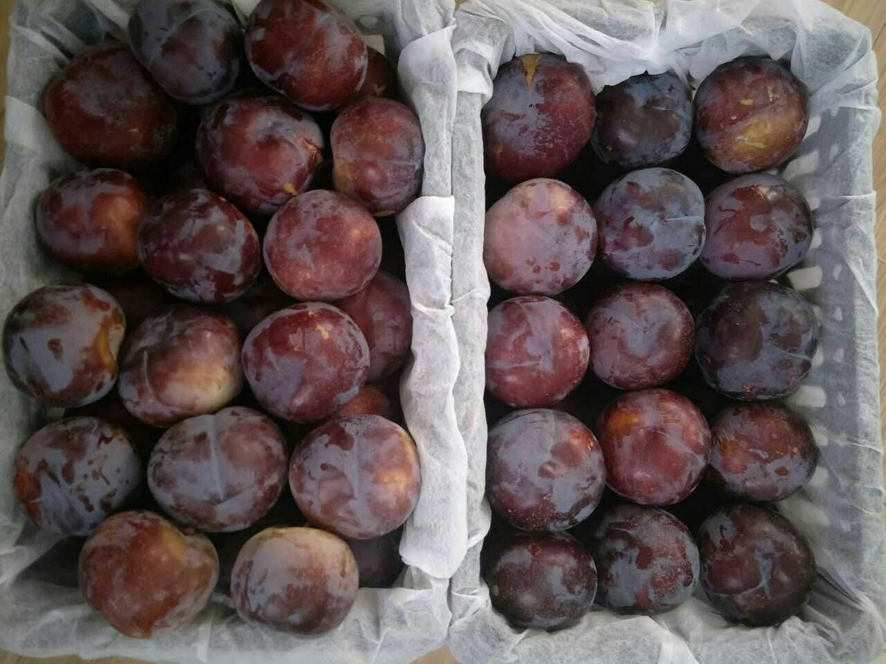 新鲜黑布林李子整齐摆放在木质砧板上,果皮呈深紫黑色,光泽饱满,部分已剖开露出淡黄色果肉与中心果核,背景为浅色厨房台面,光线柔和自然 黑布林李子特写