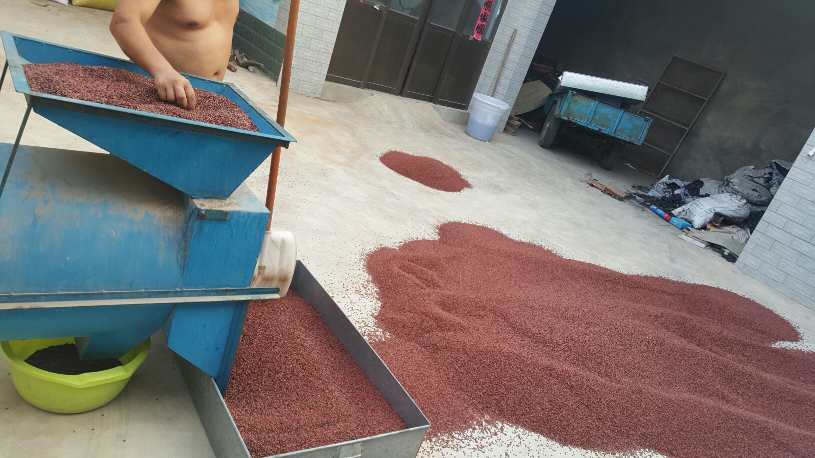 一名工人正在使用小型机械对干燥后的酸枣果实进行破壳处理,桌面上摆放着黑色酸枣果壳与内部取出的浅黄色酸枣仁,旁边配有筛网分离杂质,背景为乡村作坊式加工厂内部环境,墙上张贴有‘无硫加工’标识 酸枣仁去壳加工过程特写