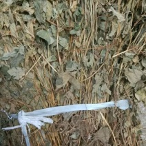大别山中药材野生鱼腥草塑料袋
