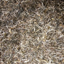 老树茶二级