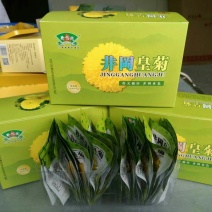 菊花茶特级