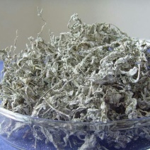 藤茶特级