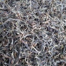 普洱茶特级