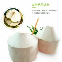 椰子9个一箱50元