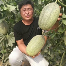 长香玉哈密瓜3斤以上长形