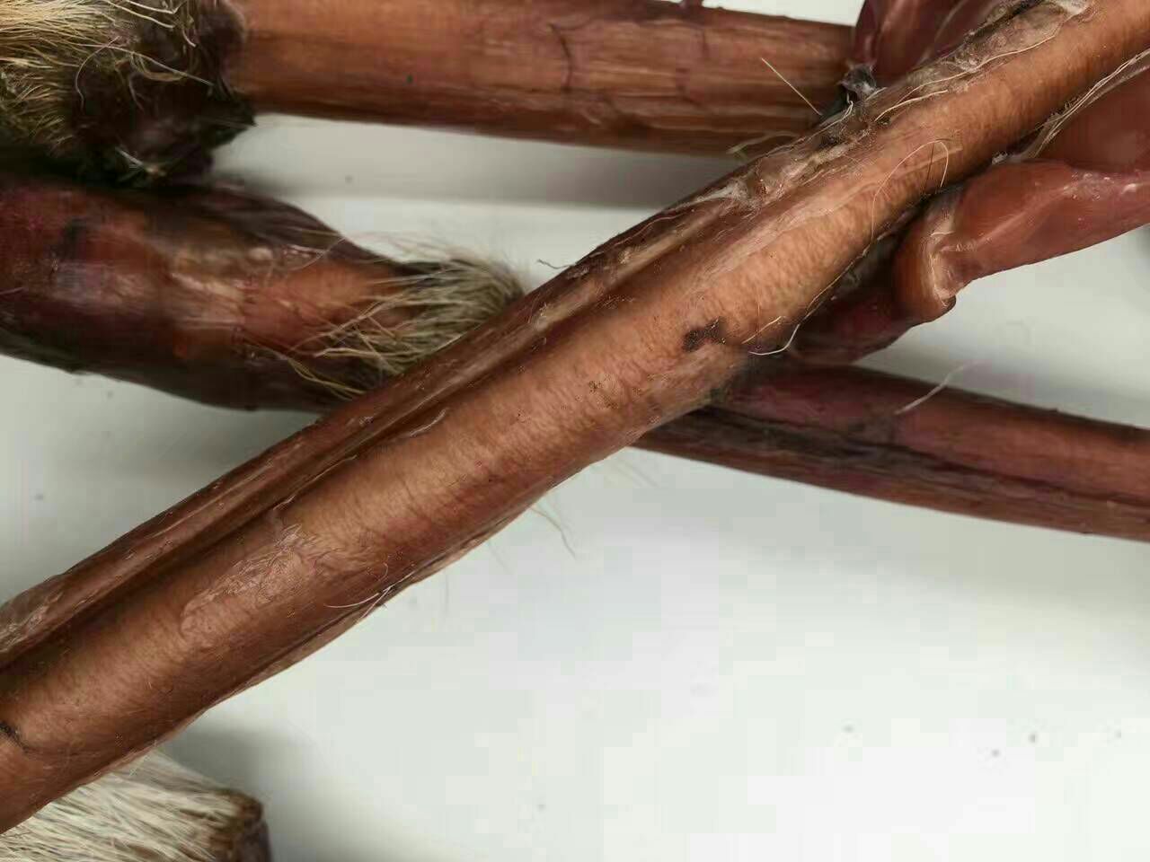 鹿鞭选购对比图
