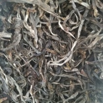 普洱茶一级