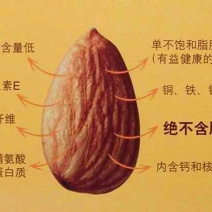 纸皮巴旦木散装