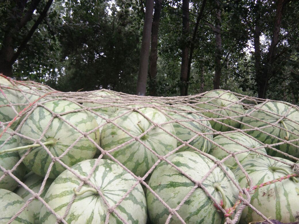 金蜜6号网纹瓜在电商平台销售场景