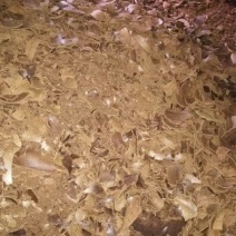 油枯