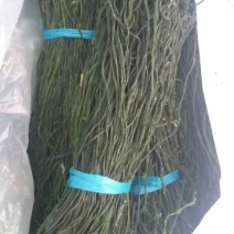 脱水长豆角，青条豆角，精品豆角，豆角干，干豇豆