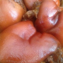 烤鸭新鲜