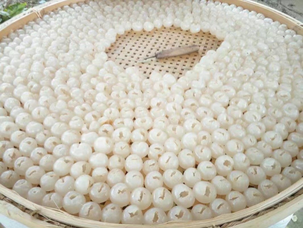 展示一盘干燥完整的干桂圆果实 干桂圆成品图