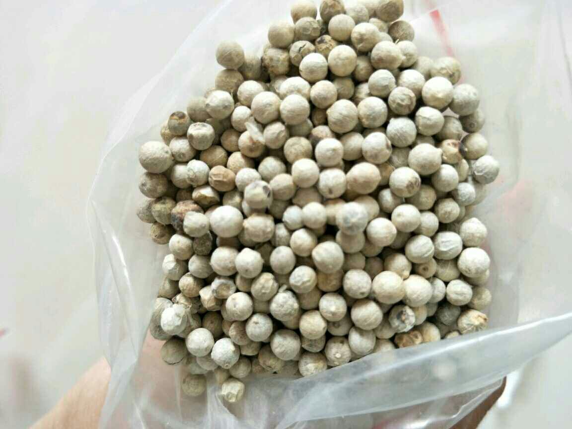 调制好的肉馅被均匀填入掏空的尖椒中,表面平整 肉馅填充示意图