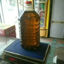 油菜籽1
