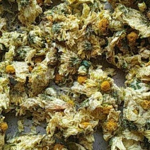 药用菊花散装