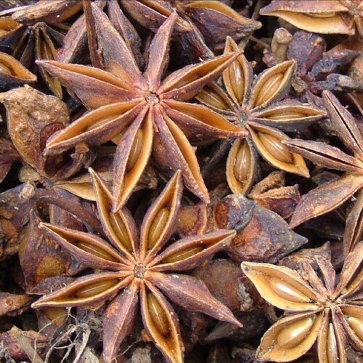 一颗完整的红棕色八角,呈典型的八角星形结构,表面有明显的棱角和纹理,背景为木质料理台,旁边散落几粒破碎的八角瓣,光线柔和,突出香料的自然质感 八角特写