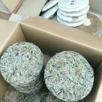 福鼎白茶三级