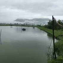 虾干一级