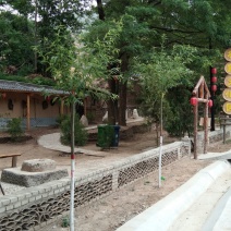 山杏核苦核