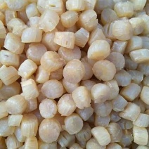 干瑶柱