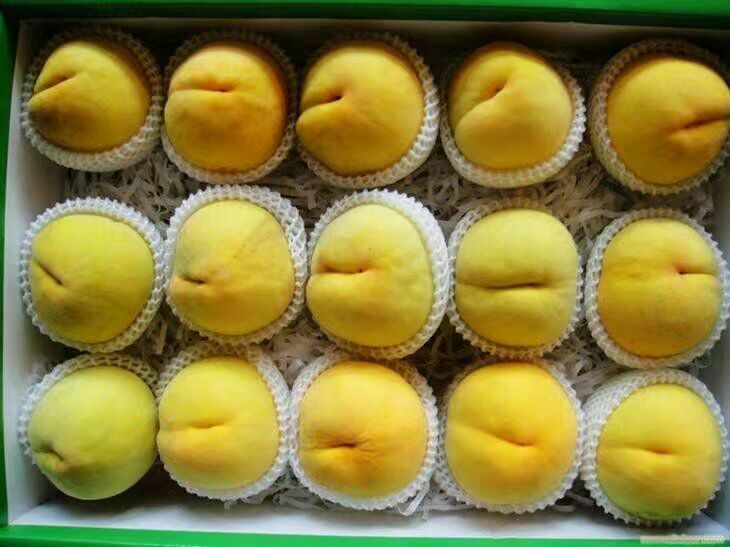 炎陵黄桃品牌推广活动现场