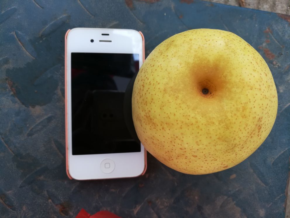 黄金梨热量对比图