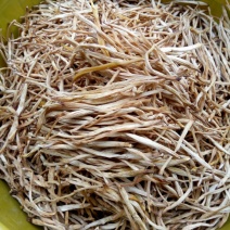 干黄菜
