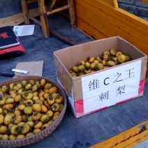 刺梨鲜