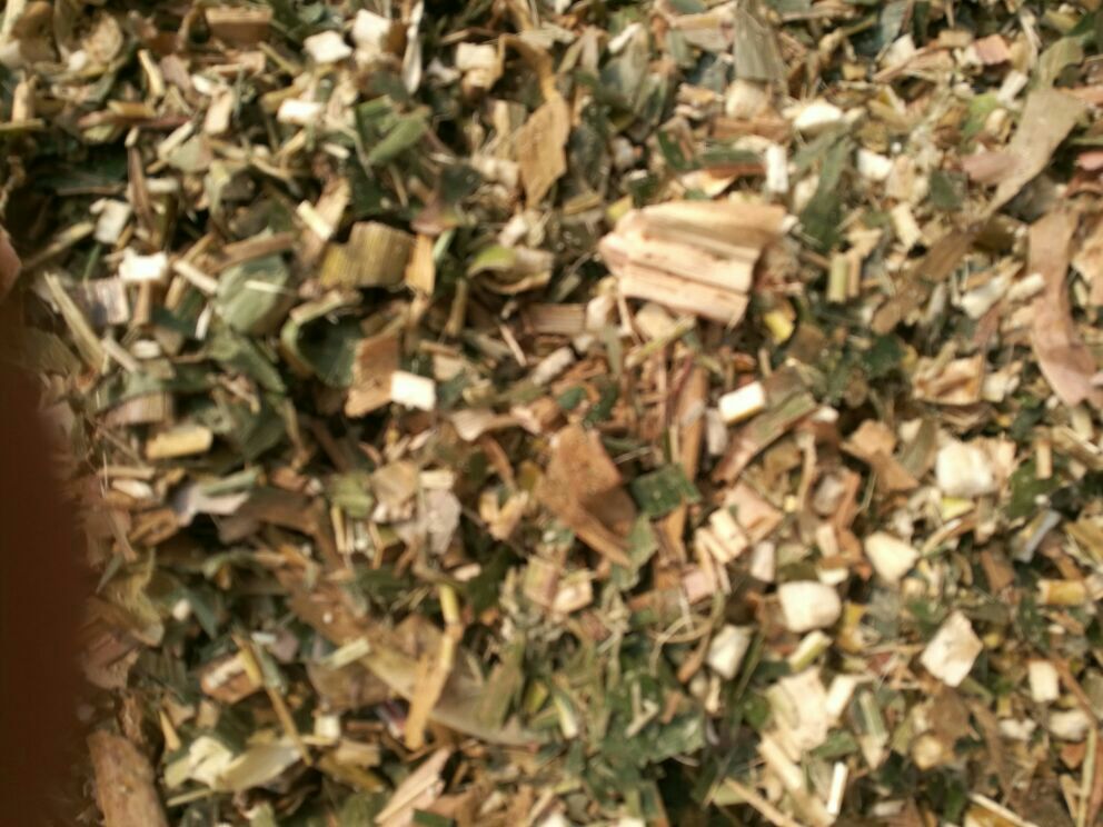 信息图表:展示老坛玉米标准化发酵流程——①原料筛选(糯玉米水分≤38%);②陶坛预处理(沸水蒸煮+紫外线照射);③接种(植物乳杆菌LP-8冻干粉,OD600=0.8);④温控发酵(15±1℃恒温箱,每12h监测pH与TA滴定酸度);⑤终止(4℃冷激2h);⑥活菌计数(平板涂布法,MRS琼脂培养48h) 老坛玉米发酵过程关键控制点示意图