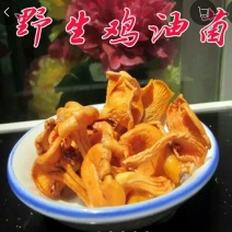 鸡油菌
