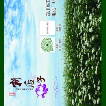 菊花茶特级