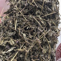 藤茶一级